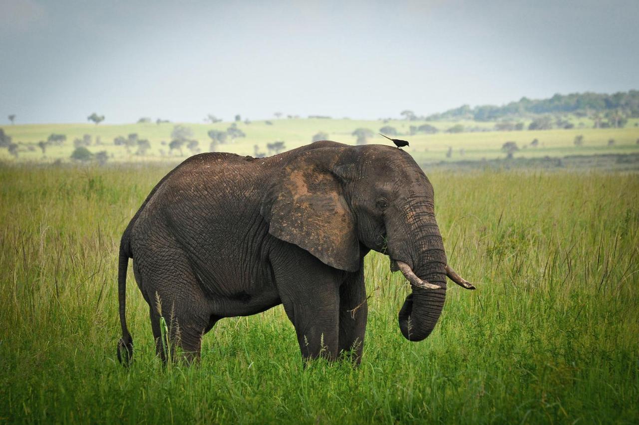 Apoka Safari Lodge Loitanit Ngoại thất bức ảnh