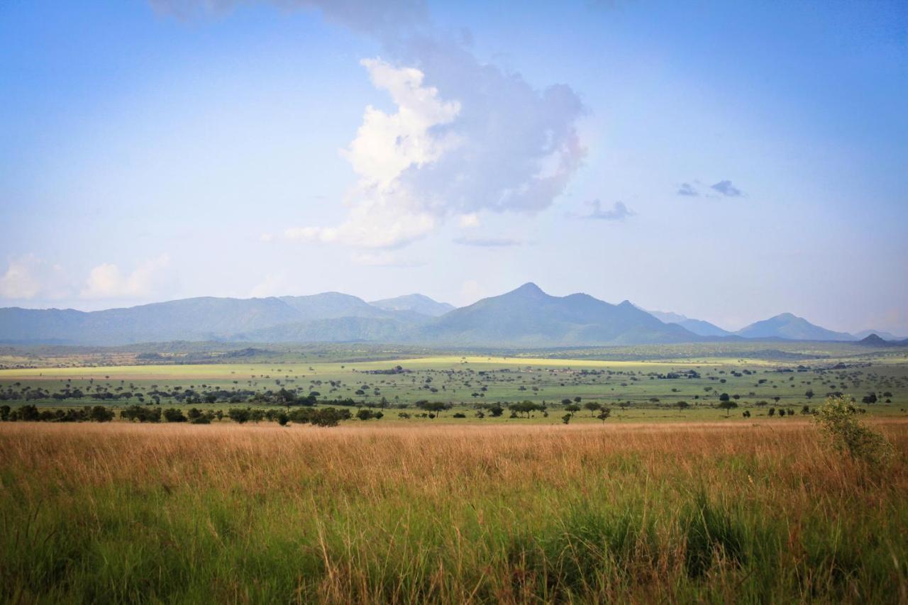 Apoka Safari Lodge Loitanit Ngoại thất bức ảnh